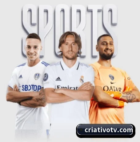 平台简介 - 体育资讯内容服务